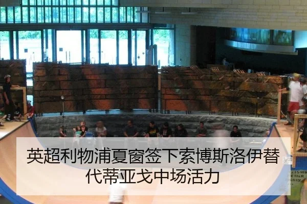 ying-chao-li-wu-pu-xia-chuang-qian-xia-suo-bo-si-luo-yi-ti-dai-di-ya-ge-zhong-chang-huo-li-2-128.jpg