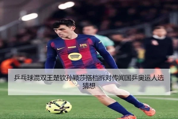 ping-pang-qiu-hun-shuang-wang-chu-qin-sun-ying-sha-da-dang-chai-dui-chuan-wen-guo-ping-ao-yun-ren-xuan-cai-xiang-3-287.jpg