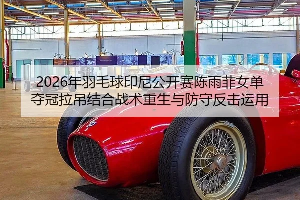 nian-yu-mao-qiu-yin-ni-gong-kai-sai-chen-yu-fei-nv-dan-duo-guan-la-diao-jie-he-zhan-shu-chong-sheng-yu-fang-shou-fan-ji-2-266.jpg