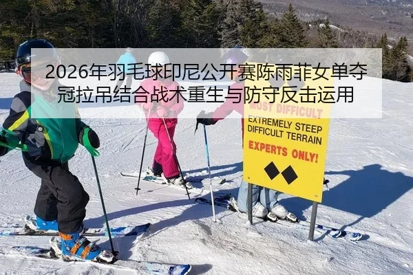 2026年羽毛球印尼公开赛陈雨菲女单夺冠拉吊结合战术重生与防守反击运用