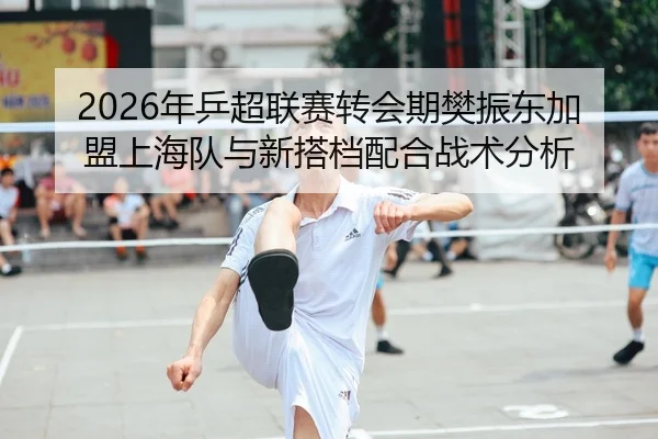 2026年乒超联赛转会期樊振东加盟上海队与新搭档配合战术分析